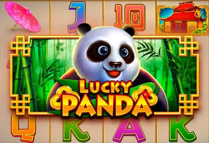 Expérience utilisateur optimisée chez Mister Pacho Casino.