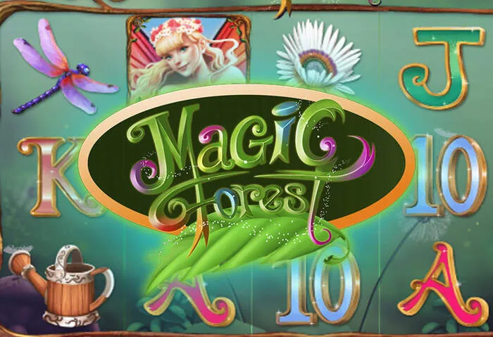 Grafik zum Mr Pacho Casino Bonusangebot für Spieler aus Polen mit speziellem Promo-Code.