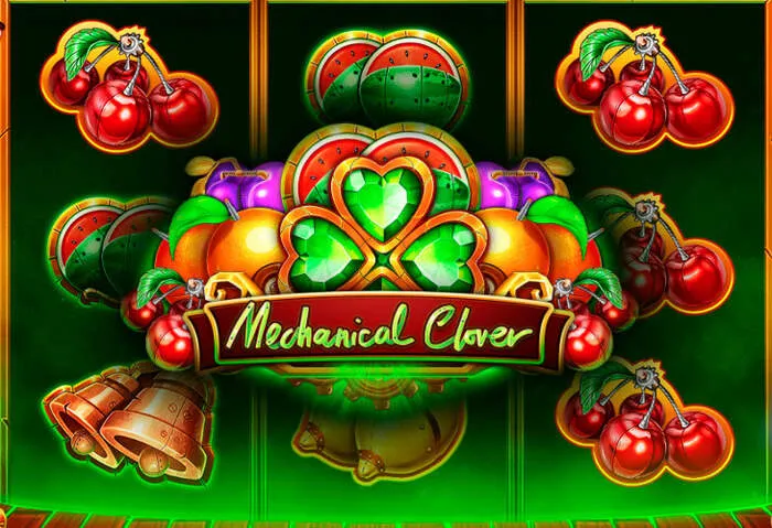 Live dealer casino experience offered by Mister Pacho Casino for online gaming.