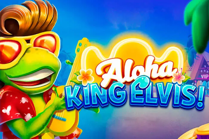High-quality Mr Pacho Casino user interface highlighting player experience and features.