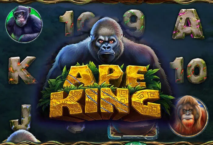 Exklusiver Mr Pacho Casino Bonus für polnische Neukunden mit aktuellem Promo-Code.