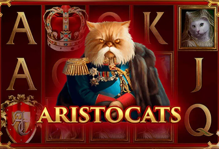 Live dealer casino experience offered by Mister Pacho Casino for online gaming.