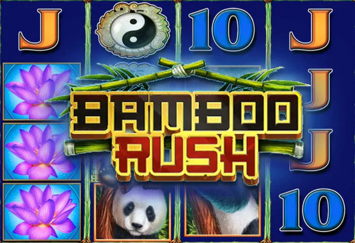 Découvrez les machines à sous et jeux de table de Mister Pacho Casino.