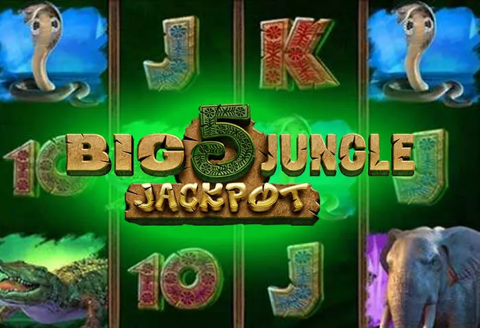 Visuels des bonus de bienvenue et promotions offerts par Mr Pacho Casino.
