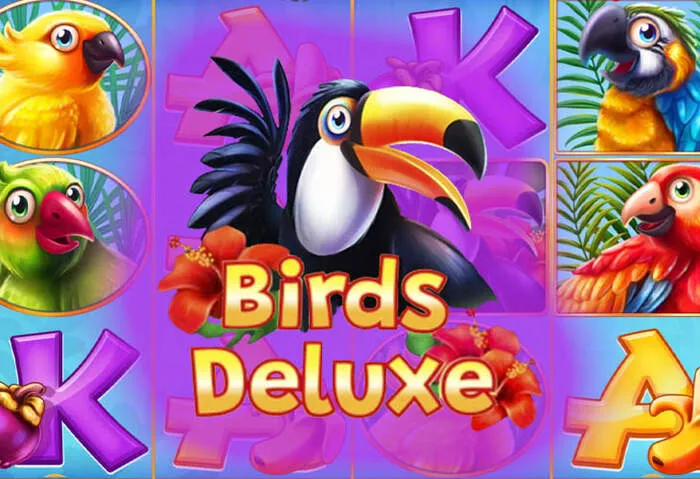 Spannende Mr Pacho Casino Willkommensbonus Angebote sichern.