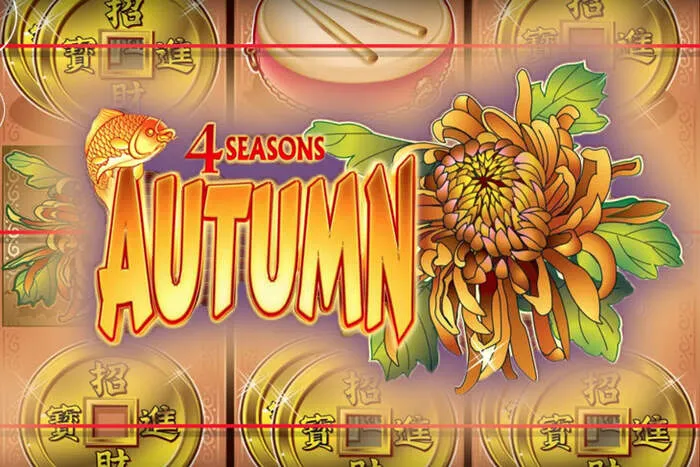 Enjoy popular Mr Pacho Casino Bonus table games.