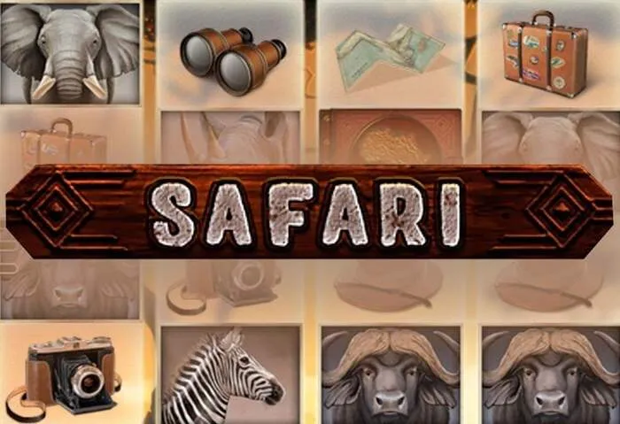 Mister Pacho Casino mobile interface demonstrating seamless play on the go.