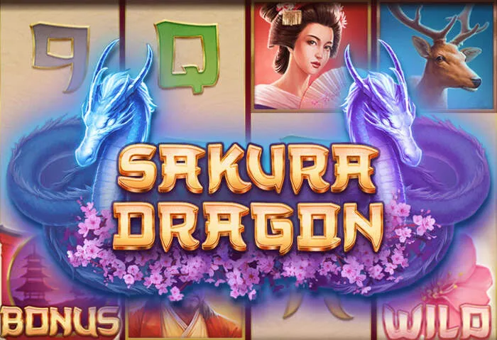 Unlock exclusive Mr Pacho Casino Bonus No Deposit Code.